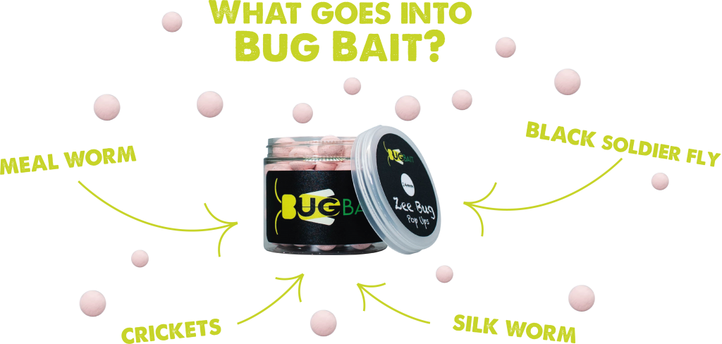 best carp fishing bait